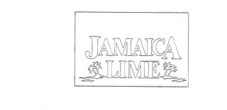 JAMAICA LIME