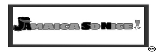 JAMAICA SO NICE logo