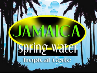 JAMAICA SPRING WATER TROPICAL TASTE logo