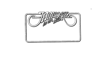 JAMBOREE IN THE HILLS logo