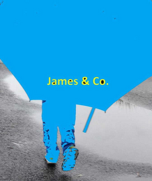 JAMES & CO. logo