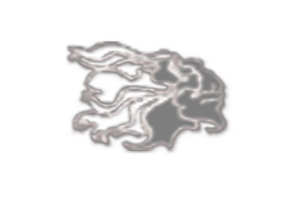 JAMES PAUL COLLECTIONS logo