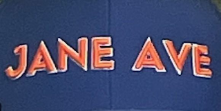 JANE AVE logo