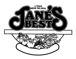 JANE'S BEST A TOUCH ABOVE THE USUAL logo