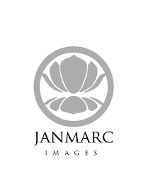 JANMARC IMAGES logo
