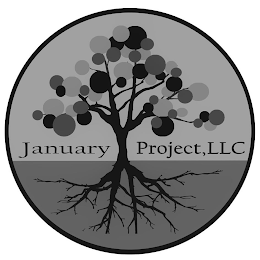 JANUARY PROJECT, LLC logo