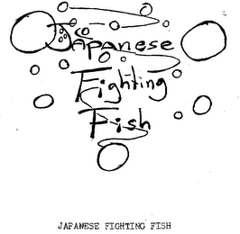 JAPANESE FIGHTING FISH JAPANESE FIGHTING FISH logo