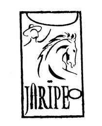 JARIPEO logo