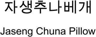 JASENG CHUNA PILLOW logo