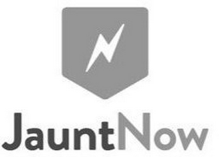 JAUNTNOW logo