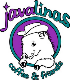 JAVALINAS COFFEE & FRIENDS logo