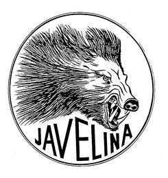 JAVELINA logo