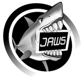 JAWS logo
