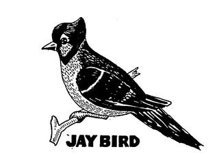 JAY BIRD logo