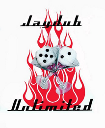 JAYDUB UNLIMITED logo