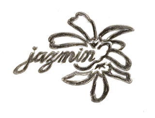JAZMIN logo