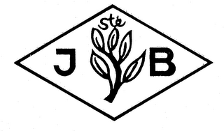 JB STE logo