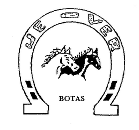 JE-VER BOTAS logo