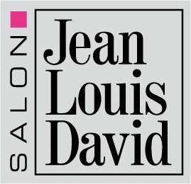 JEAN LOUIS DAVID SALON logo