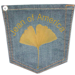 JEAN OF AMERICA logo