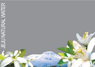 JEJU NATURAL WATER logo