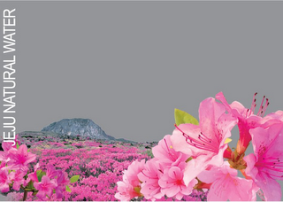 JEJU NATURAL WATER logo