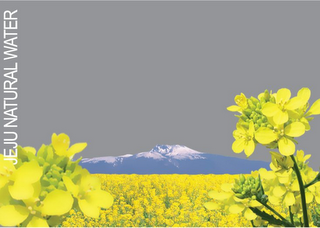 JEJU NATURAL WATER logo
