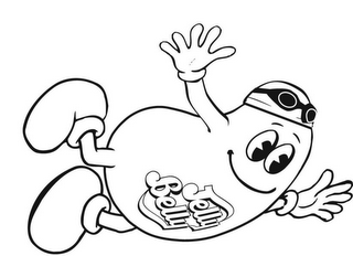 JELLY BELLY logo
