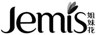JEMIS logo