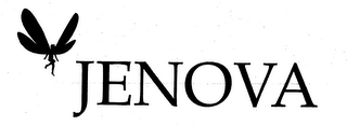 JENOVA logo