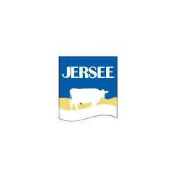 JERSEE logo