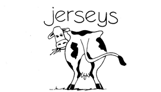 JERSEYS logo