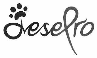 JESEPRO logo