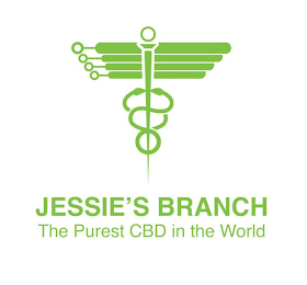 JESSIE'S BRANCH THE PUREST CBD IN THE WORLD logo