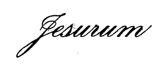 JESURUM logo