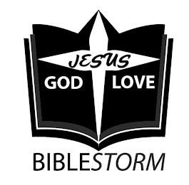 JESUS GOD LOVE BIBLESTORM logo