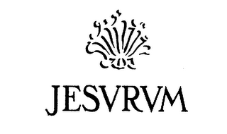 JESVRVM logo