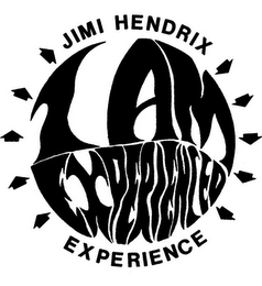 JIMI HENDRIX EXPERIENCE I AM EXPERIENCED logo