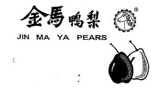 JIN MA YA PEARS logo