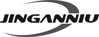JINGANNIU logo
