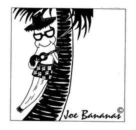 JOE BANANAS logo