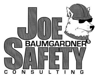 JOE BAUMGARDNER SAFETY CONSULTING logo