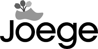 JOEGE logo