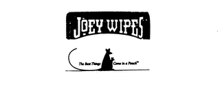 JOEY WIPES THE BEST THINGS COME IN A POUCH logo