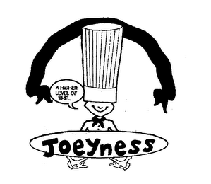 JOEYNESS A HIGHER LEVEL OF THE... logo