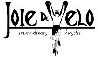 JOIE DE VELO EXTRAORDINARY BICYCLES logo