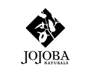 JOJOBA NATURALS logo