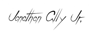 JONATHAN ALLY JR. logo