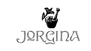 JORGINA logo