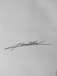 JOSE VILLAR logo